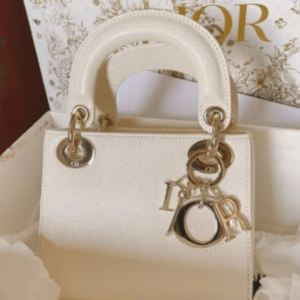 Túi Xách Mini Nữ Dior Lady Mizard Màu Trắng