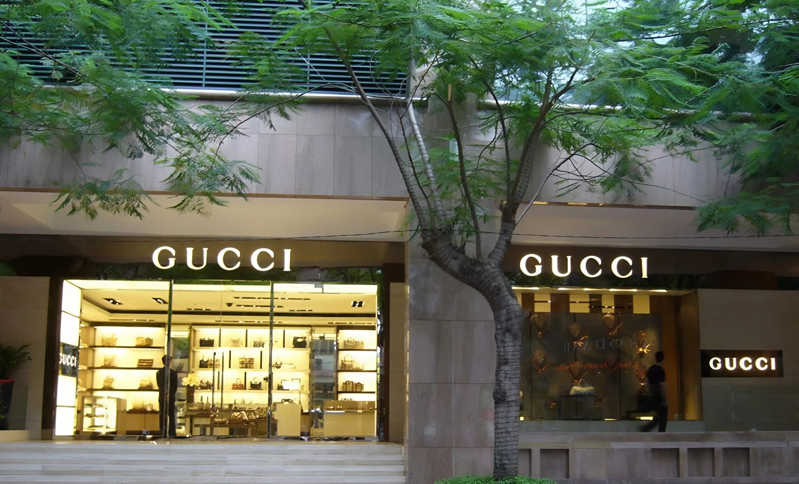 Gucci Store