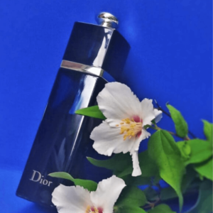 Nước Hoa Dior Addict EDP 100ml